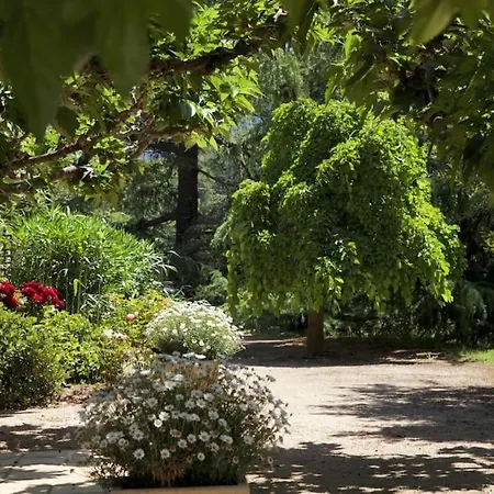 30 M2 Proche De Porticcio Et D'ajaccio 펜션 엑시카수아렐라