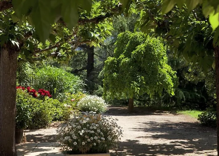 30 M2 Proche De Porticcio Et D'ajaccio 펜션 엑시카수아렐라